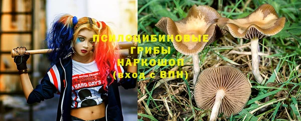 a pvp Новодвинск