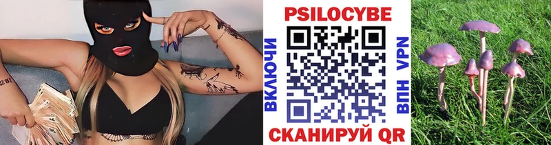 Псилоцибиновые грибы Psilocybe  гидра ONION  Пошехонье 